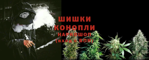 винт Гусиноозёрск