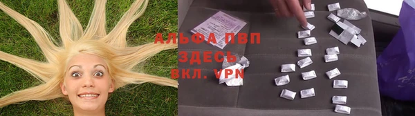 винт Гусиноозёрск