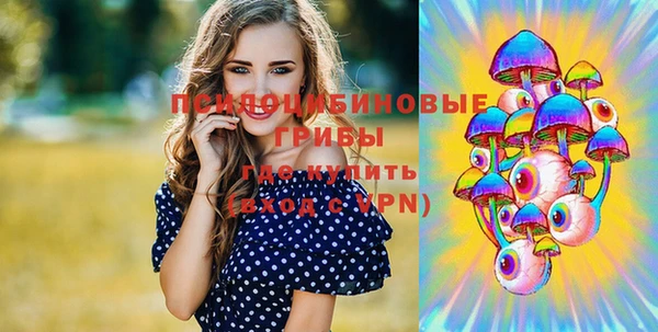 винт Гусиноозёрск