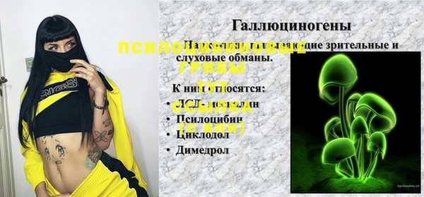винт Гусиноозёрск