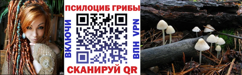 Галлюциногенные грибы GOLDEN TEACHER  купить закладку  Камешково 